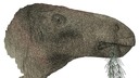 新種の草食恐竜、ほぼ完全な骨格の化石発見　英国