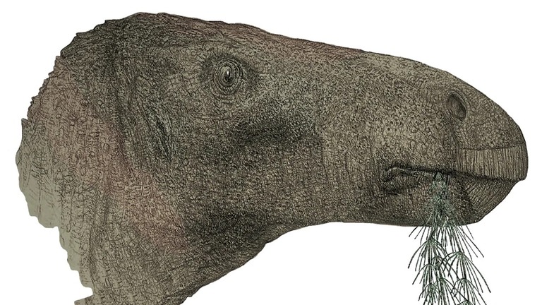 イングランド南部沖合の島で発見された新種の恐竜のイメージ図/John Sibbick