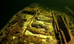 １９世紀の難破船見つかる、未開封のシャンパンと貴重な鉱泉水を満載　バルト海