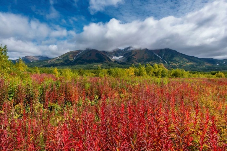 墜落したヘリコプターは、カムチャツカ半島のワチカジェツ火山近くから出発した/dpa/picture alliance/Zoonar/Sipa/File