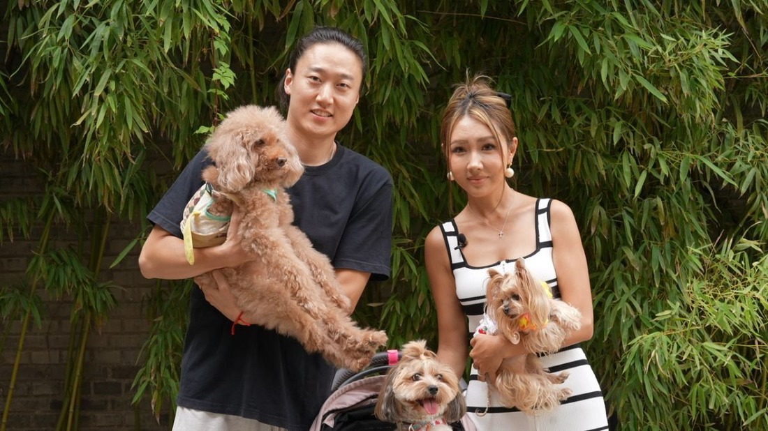 ストア どこにでもいる30代の普通の主婦が牝犬ペットとして不倫相手に飼われるー子作り前の便所掃除編