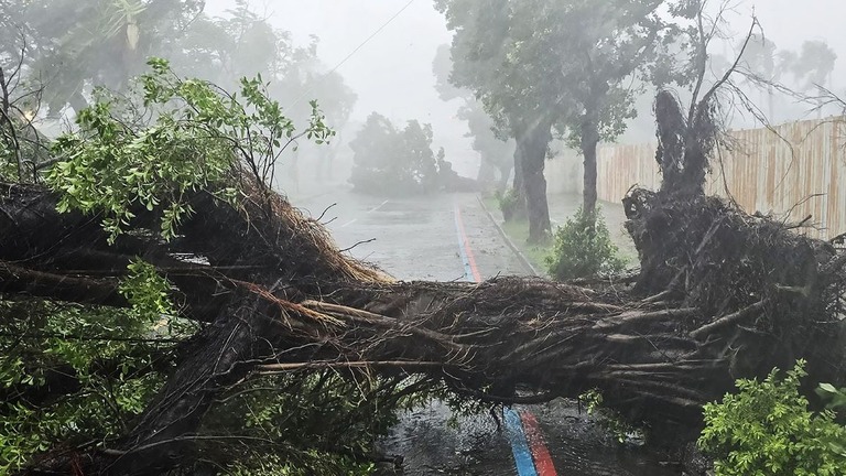 高雄市内では強風による倒木の被害が出ている/Stringer/AFP/CNA/Getty Images via CNN Newsource