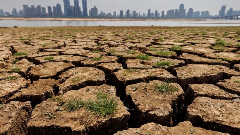 一部が干上がり、地面がひび割れた中国・江西省南昌市の川/Thomas Peter/Reuters