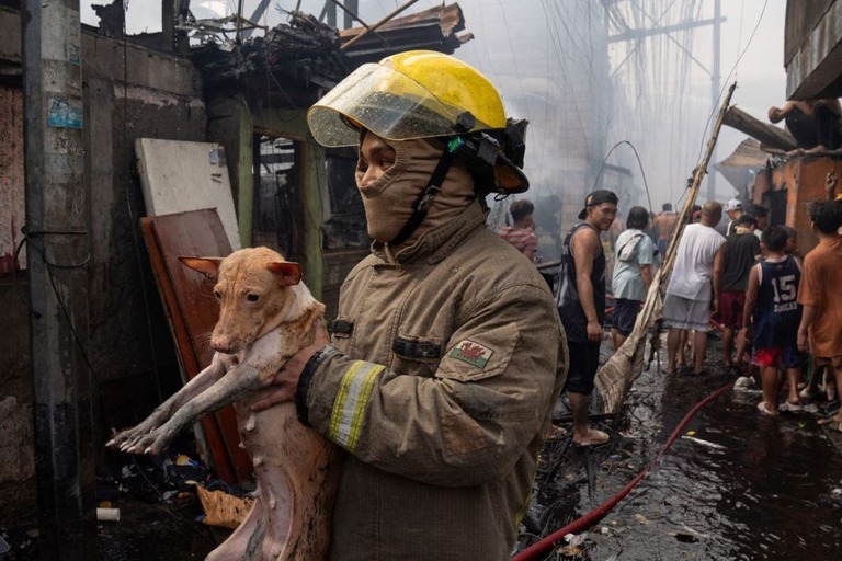 犬を運び出す消防隊員/Lisa Marie David/Reuters