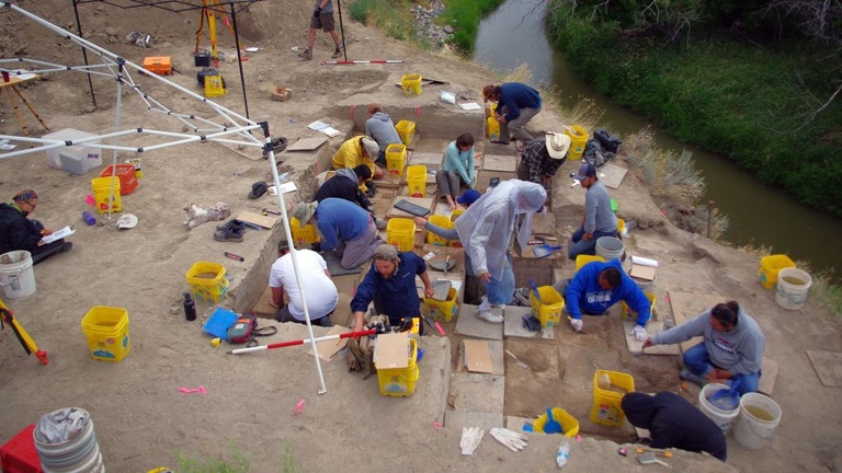 ラ・プレール遺跡の一部が発掘され２０１６年にアカギツネとヤマネコの骨で作られた針が発見された
/Danny Walker