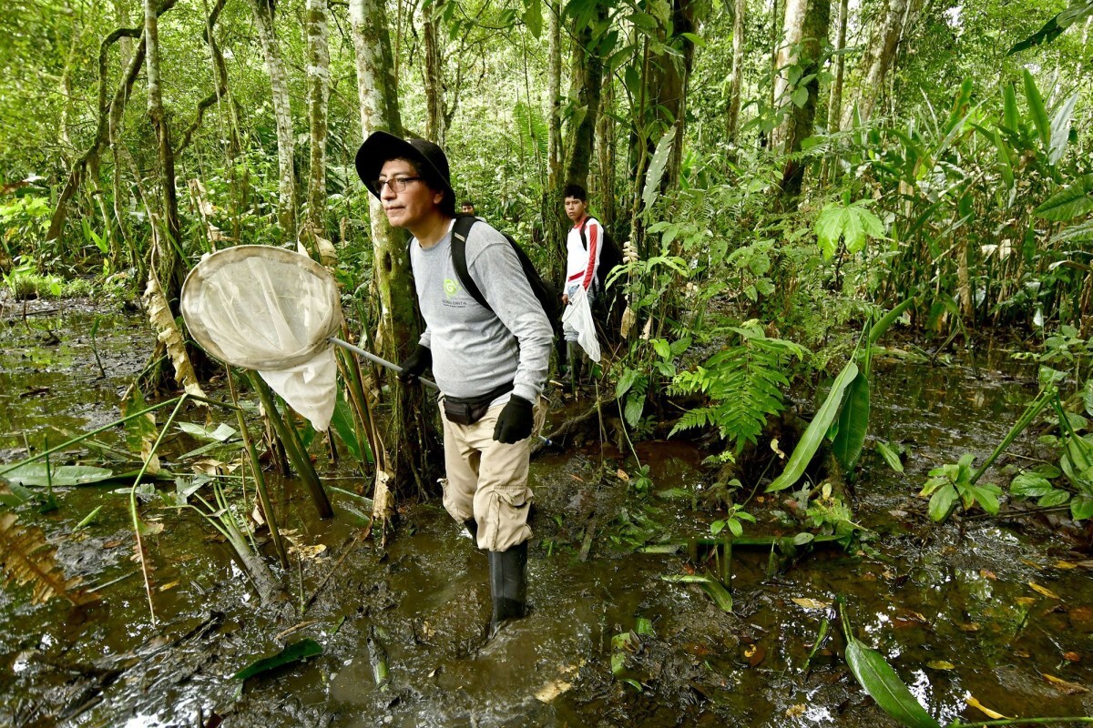 研究チームは網やわなを使って調査を行った/Trond Larsen/Conservation International 