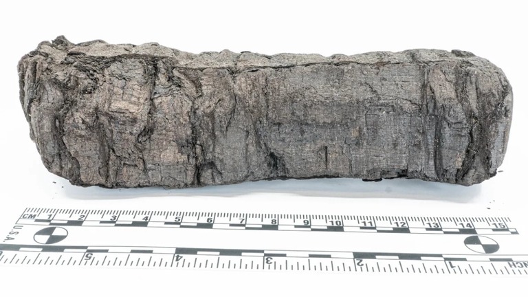 ベスビオ火山チャレンジに参加した科学者はこのほど、「ヘルクラネウムの巻物」から得られたデータをスキャンして公開した/Vesuvius Challenge