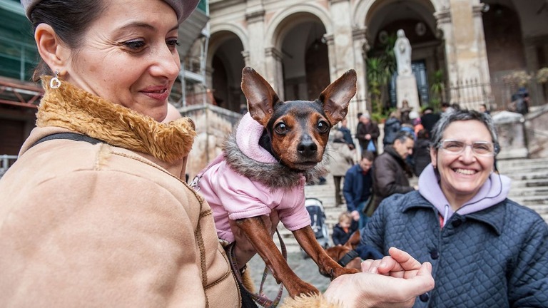 イタリアの首都ローマの博物館で無料の犬の預かりサービスが行われた/Giorgio Cosulich/Getty Images