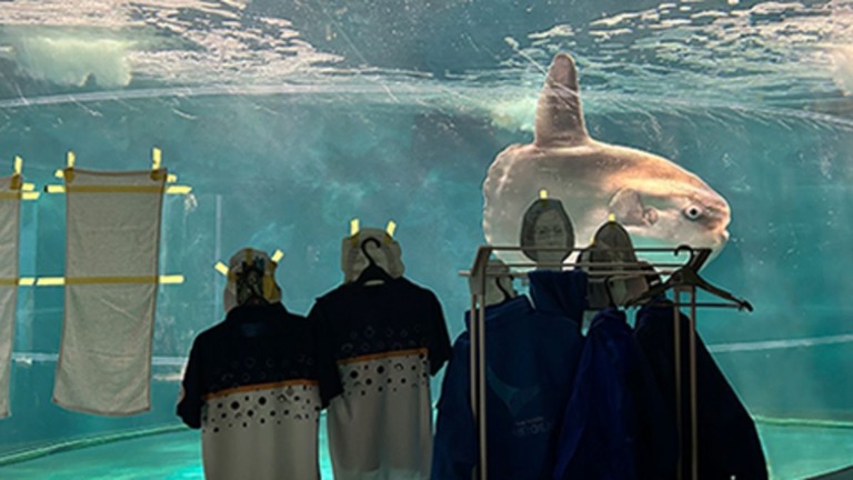 水族館で飼育されているマンボウが、改修工事のため水族館が休館すると、体調が悪化する出来事があった/Kaikyokan/X