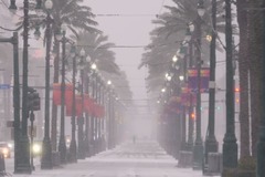 全米襲う記録的な寒波、４人死亡　南部のテキサスやフロリダで異例の積雪