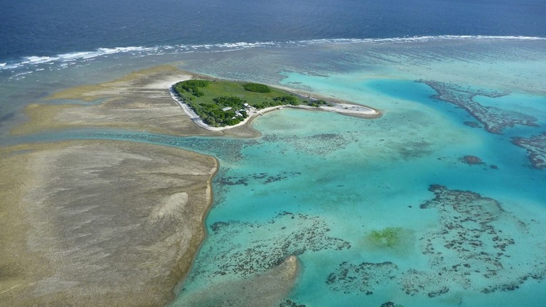 サンゴ調査の拠点となったオーストラリア東岸沖のワンツリー島/Byrne Lab/The University of Sydney