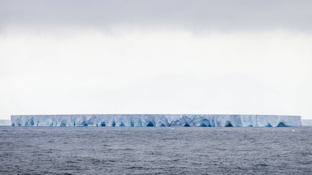 氷山は再び島に向かって移動する可能性が高いとみられている/Felix Fayolle/Zeppel/SIPA/Shutterstock