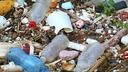 人間の脳には「スプーン１本分」のナノプラスチック、脳の重量の０．５％相当　新研究