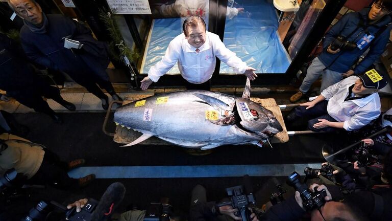 マグロはその味わいと食感、大きさで知られており、最も重たいものは約６８０キロ。２０２０年の初競りでは約１億９３００万円の値が付いた/Kyodo/Reuters