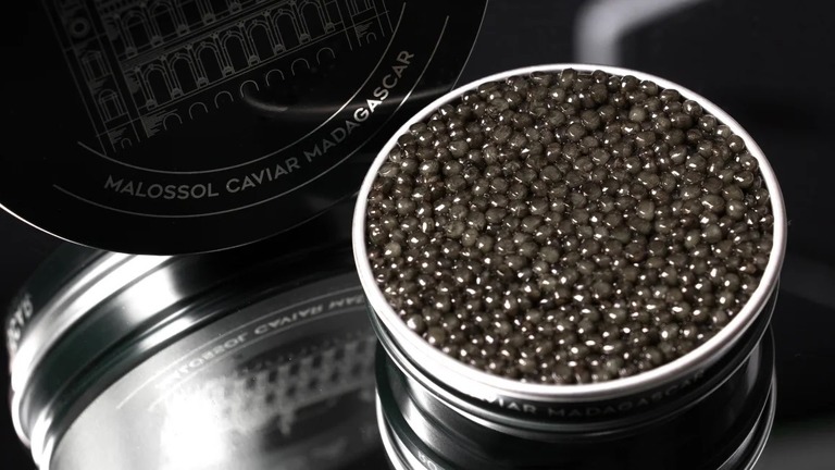 アシペンサー社は、アフリカで初めてキャビアの生産を手掛けた/Rova Caviar Madagascar