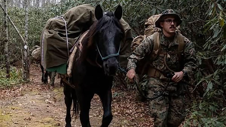 荷物を運ぶ「ベイダー」/Courtesy Mountain Packer Mule Ranch