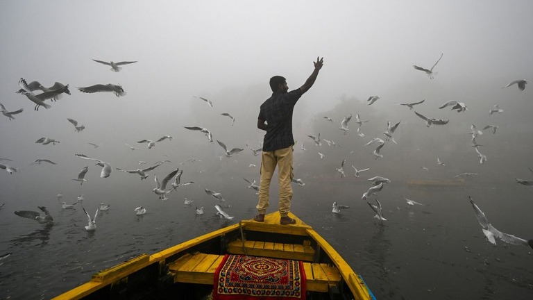 スモッグのなか、鳥に餌をやる男性＝２０２４年１１月、インド・ニューデリー/Arun Sankar/AFP/Getty Images