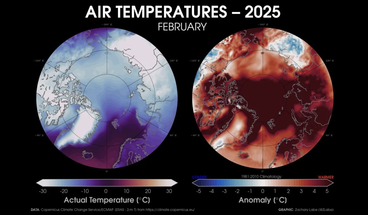 ２０２５年２月の北極の気温（左）と、過去の平均（１９８１～２０１０年）との差（右）/Zachary Labe